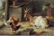 unknow artist poultry  162 china oil painting artist